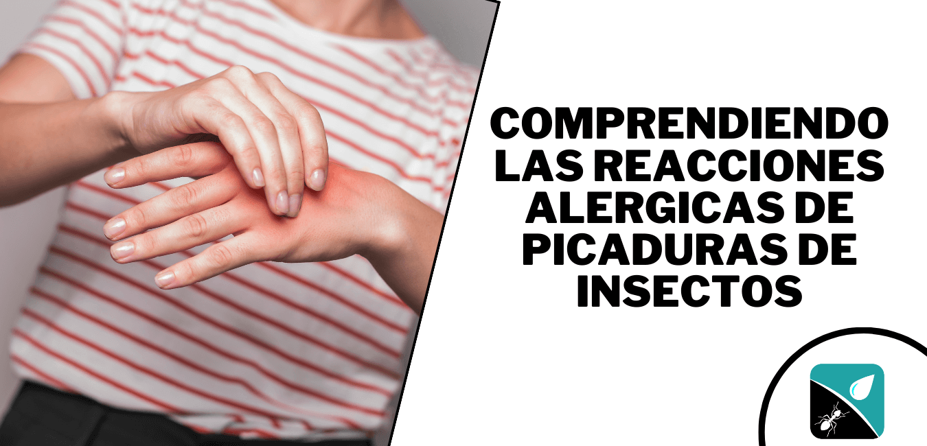 Comprendiendo las Reacciones Alérgicas a las Picaduras de Insectos ...